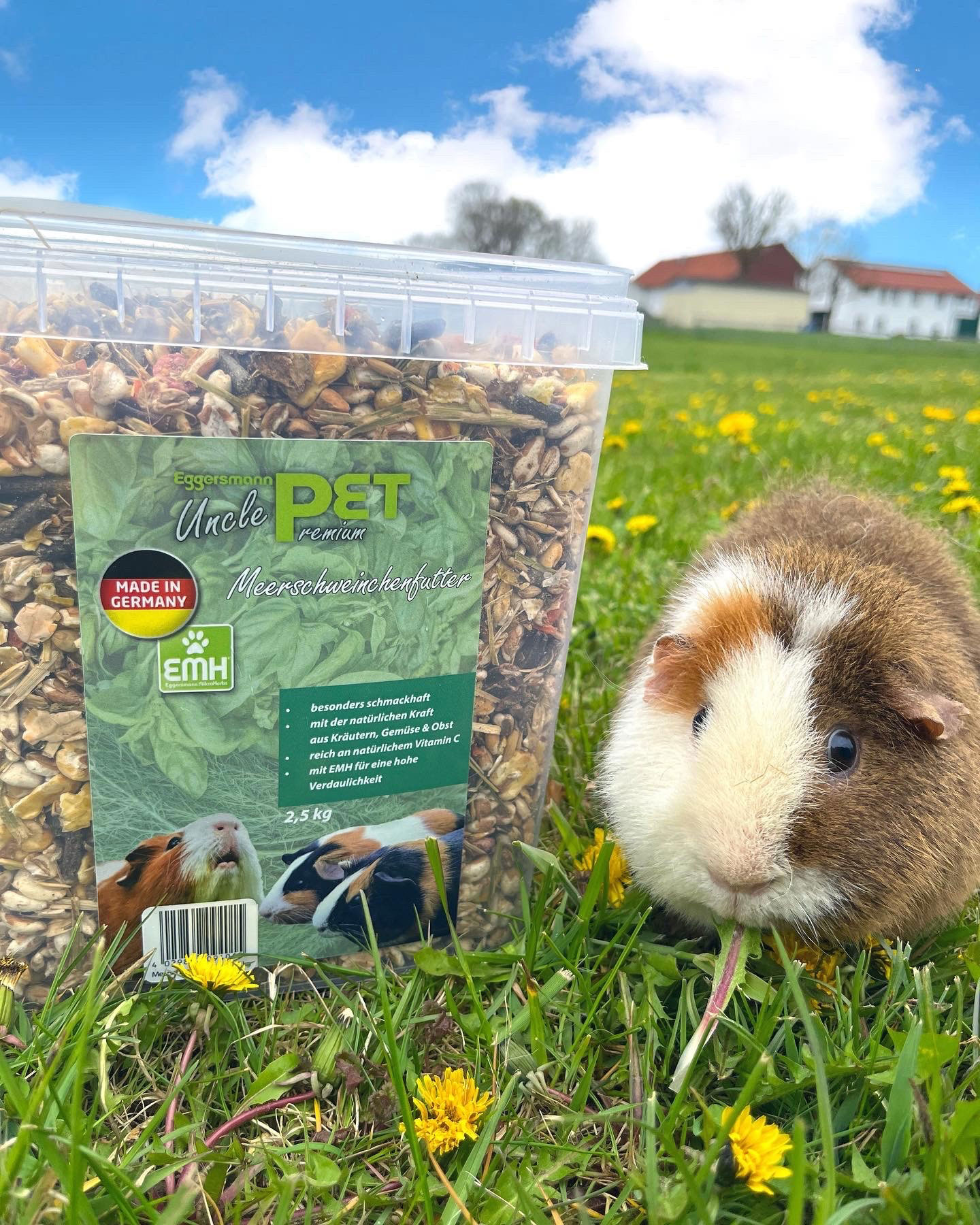 EMH-Meerschweinchenfutter-3