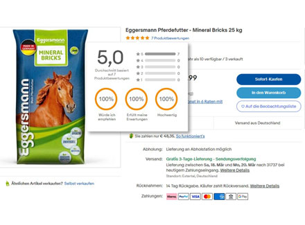 ebay-Produktbewertung