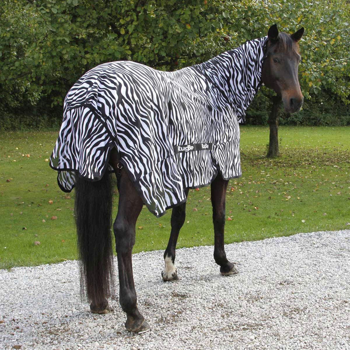 9995_043_COVALLIERO_FLIEGENDECKE_RUGBE_ZEBRA_135CM_ANWENDUNG