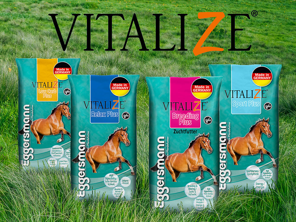 Vitalize_Thema