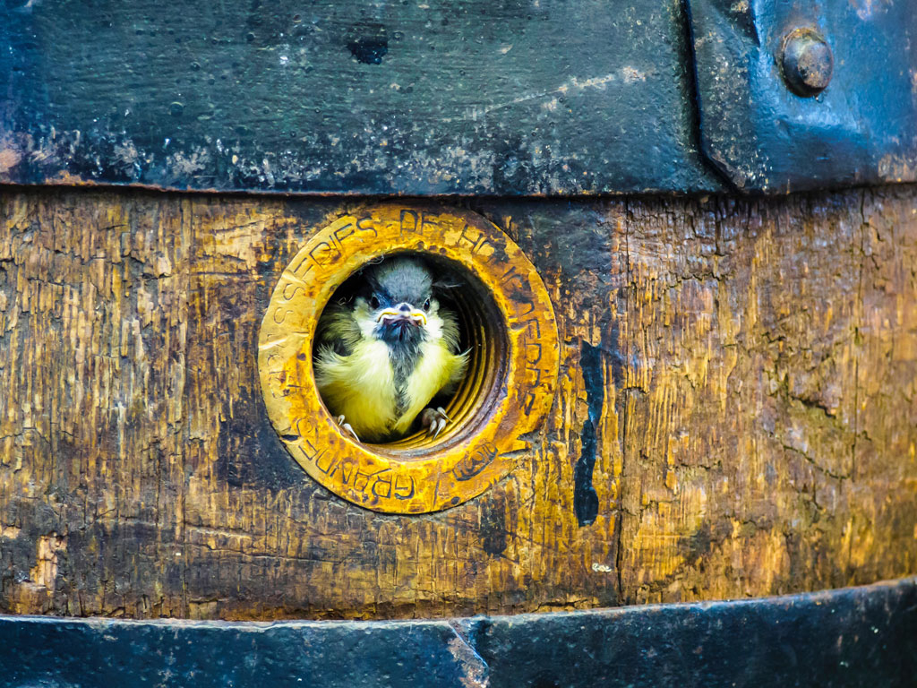 alexander-schimmeck-U-_4N871mqQ-unsplash