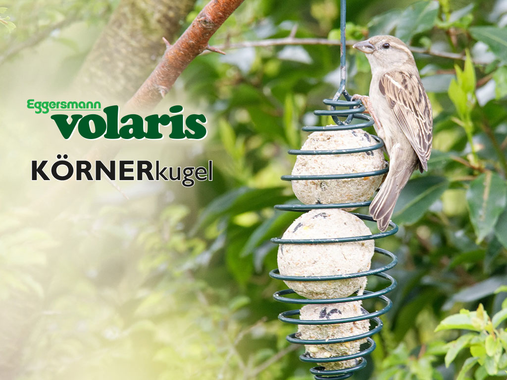 Unsere beliebten Volaris Vollkorn Meisenknödel sind zurück!
