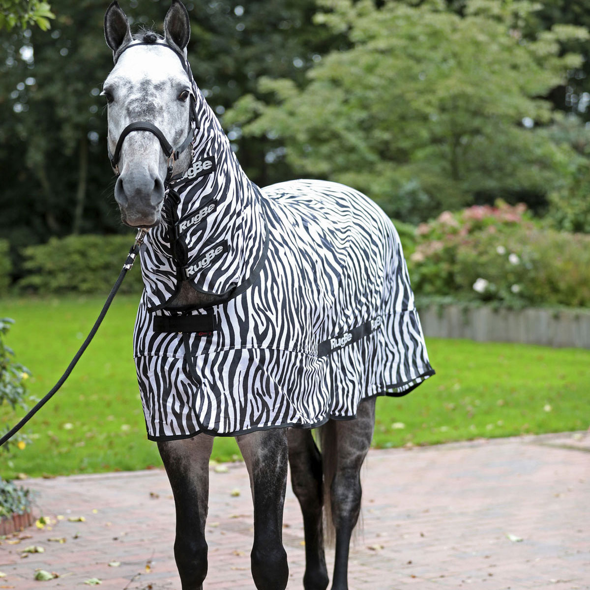 9995_042_COVALLIERO_FLIEGENDECKE_RUGBE_ZEBRA_125CM_ANWENDUNG