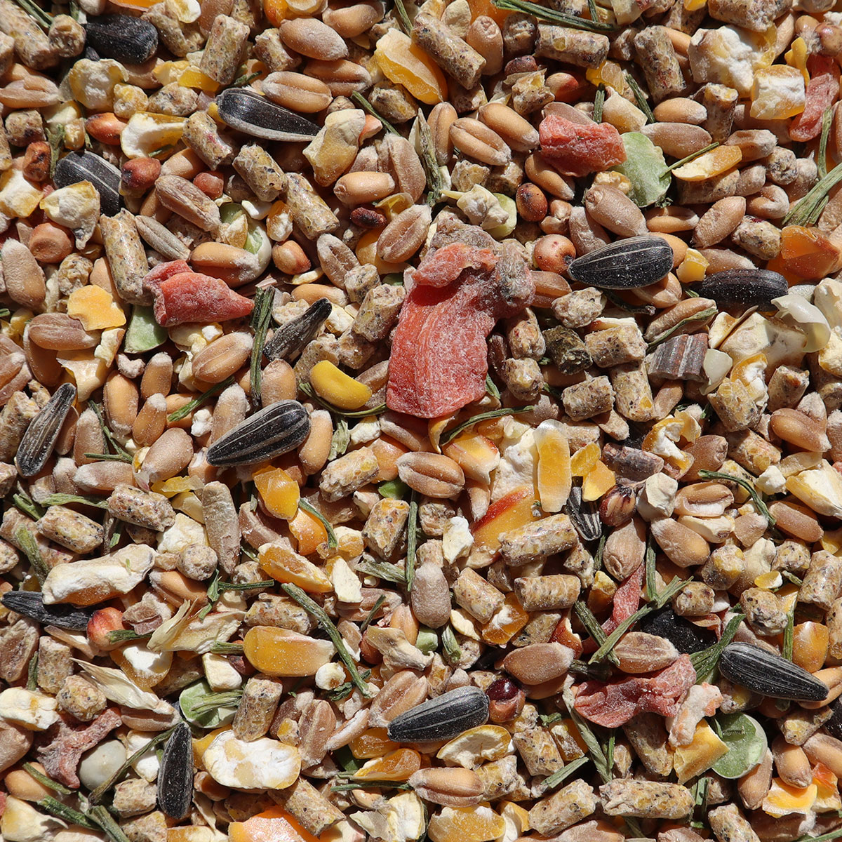 STRUKTUR_KOERNERMIX_OREGANO_7003-300_DETAIL