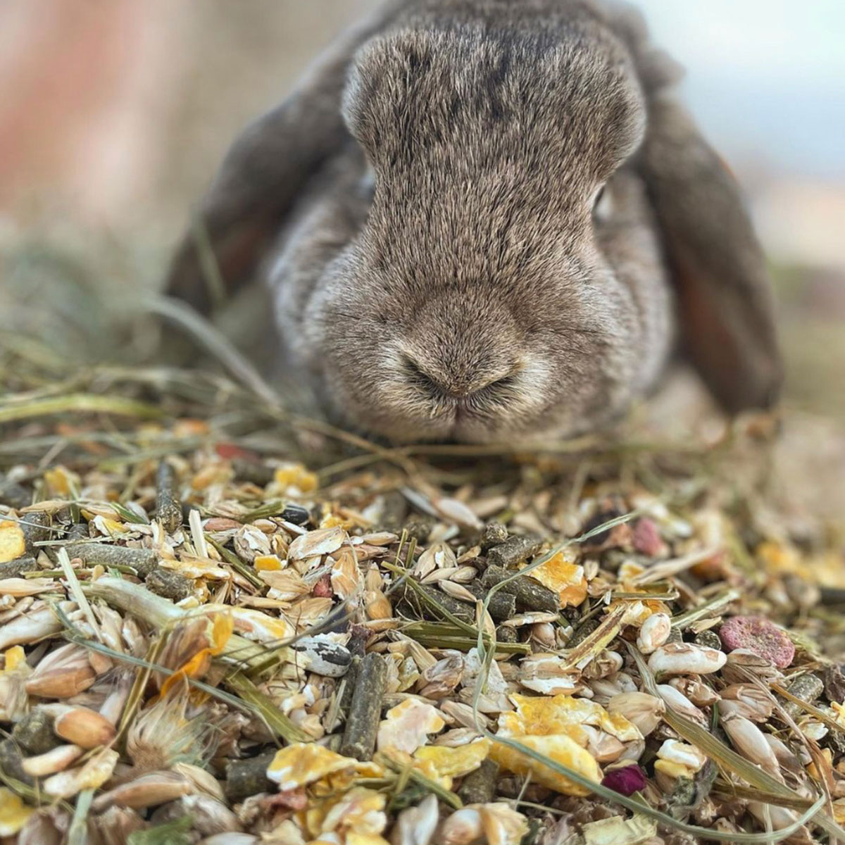 UNCLE_PET_KANINCHEN_MUESLI