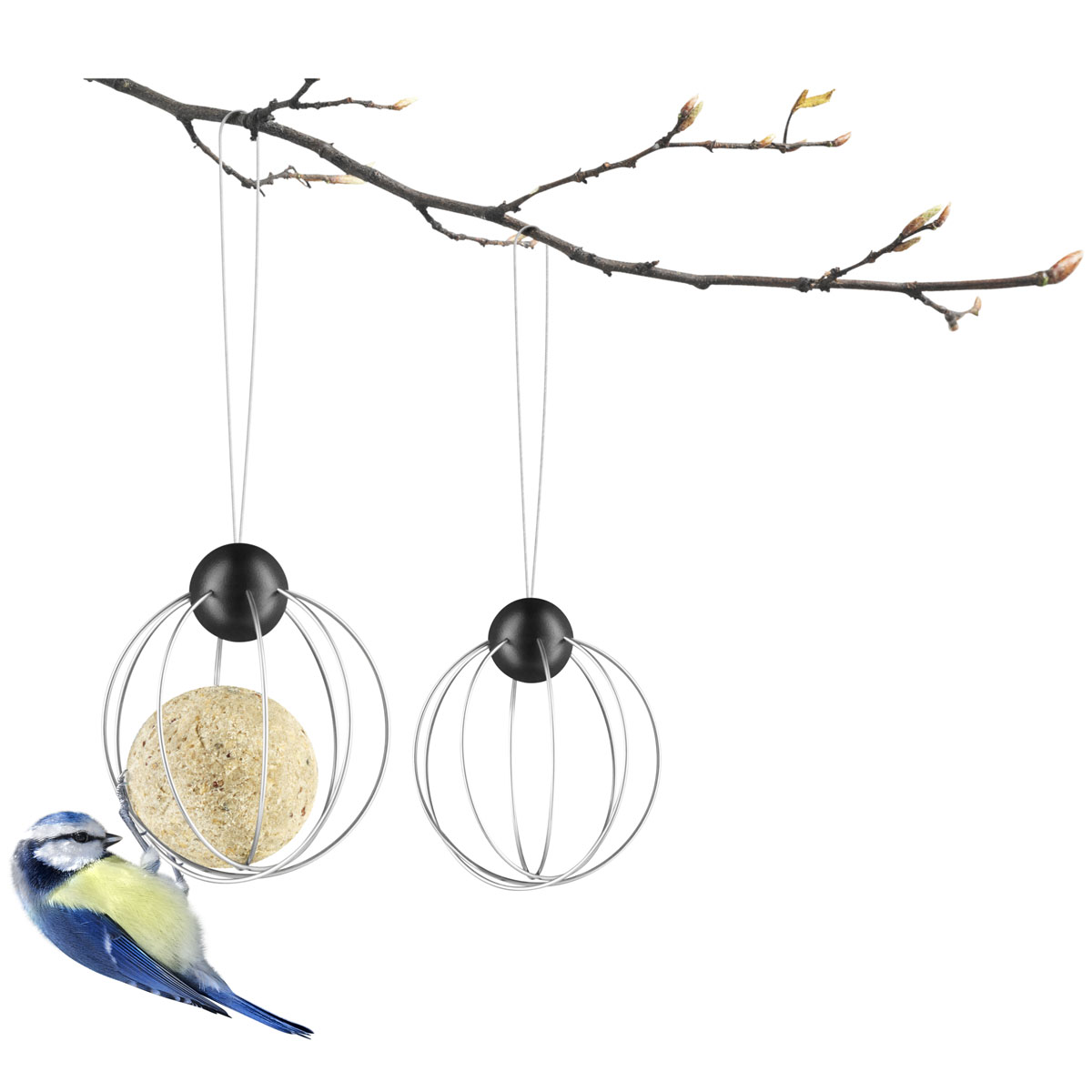 571033_SUET_BIRD_FEEDERS_2