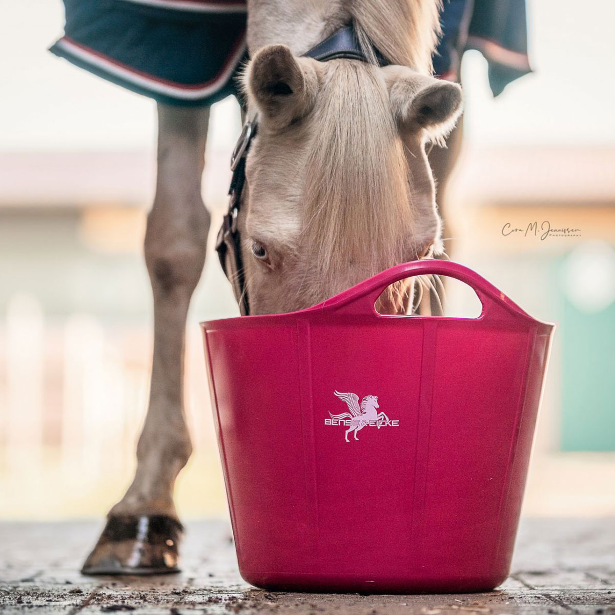 BENSE_EICKE_4470_PINK_PEARL_MOOD
