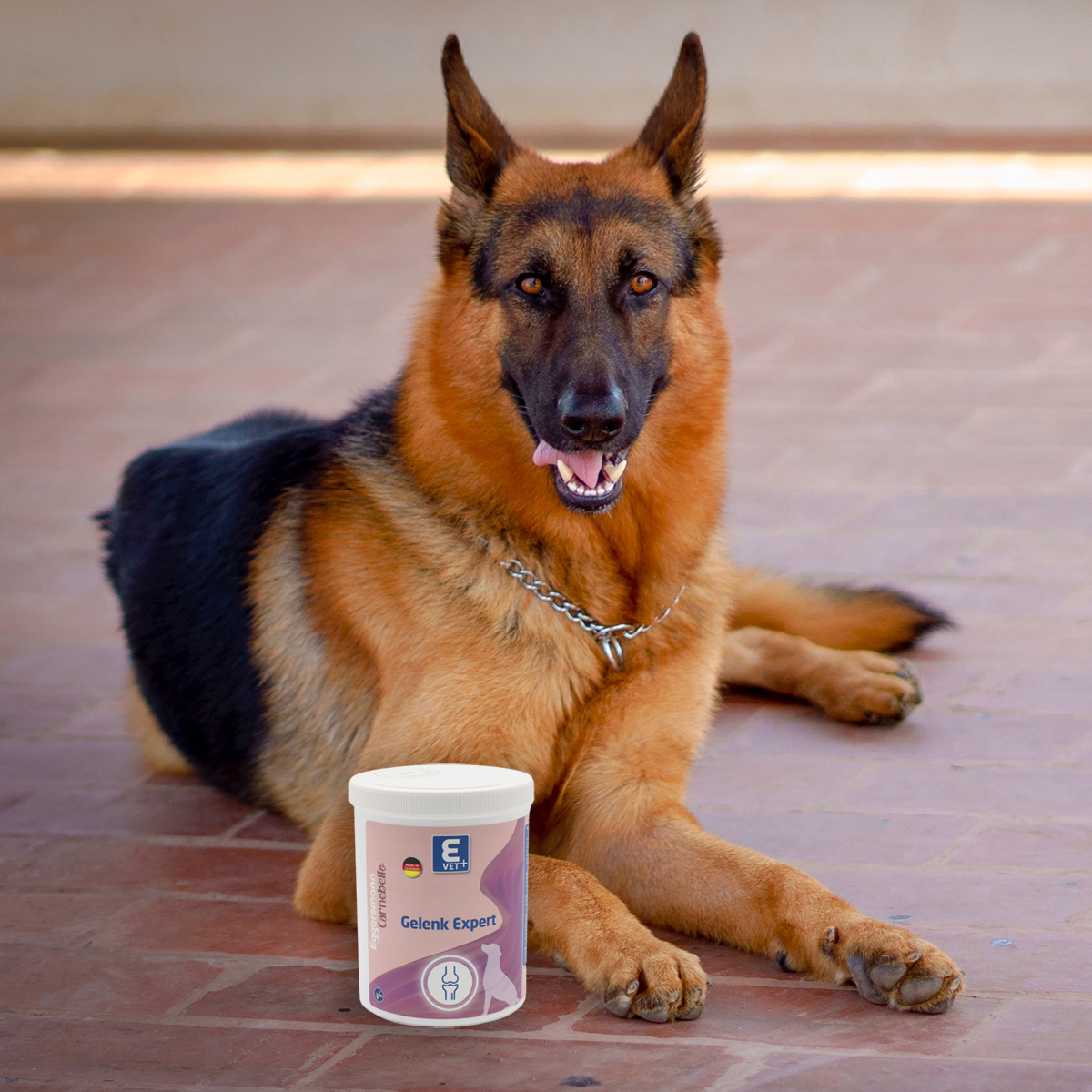 CARNEBELLO_E_VET+_GELENK_EXPERT_HUND