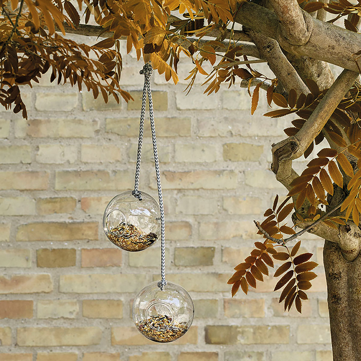 571019_GLASS_BIRD_FEEDERS