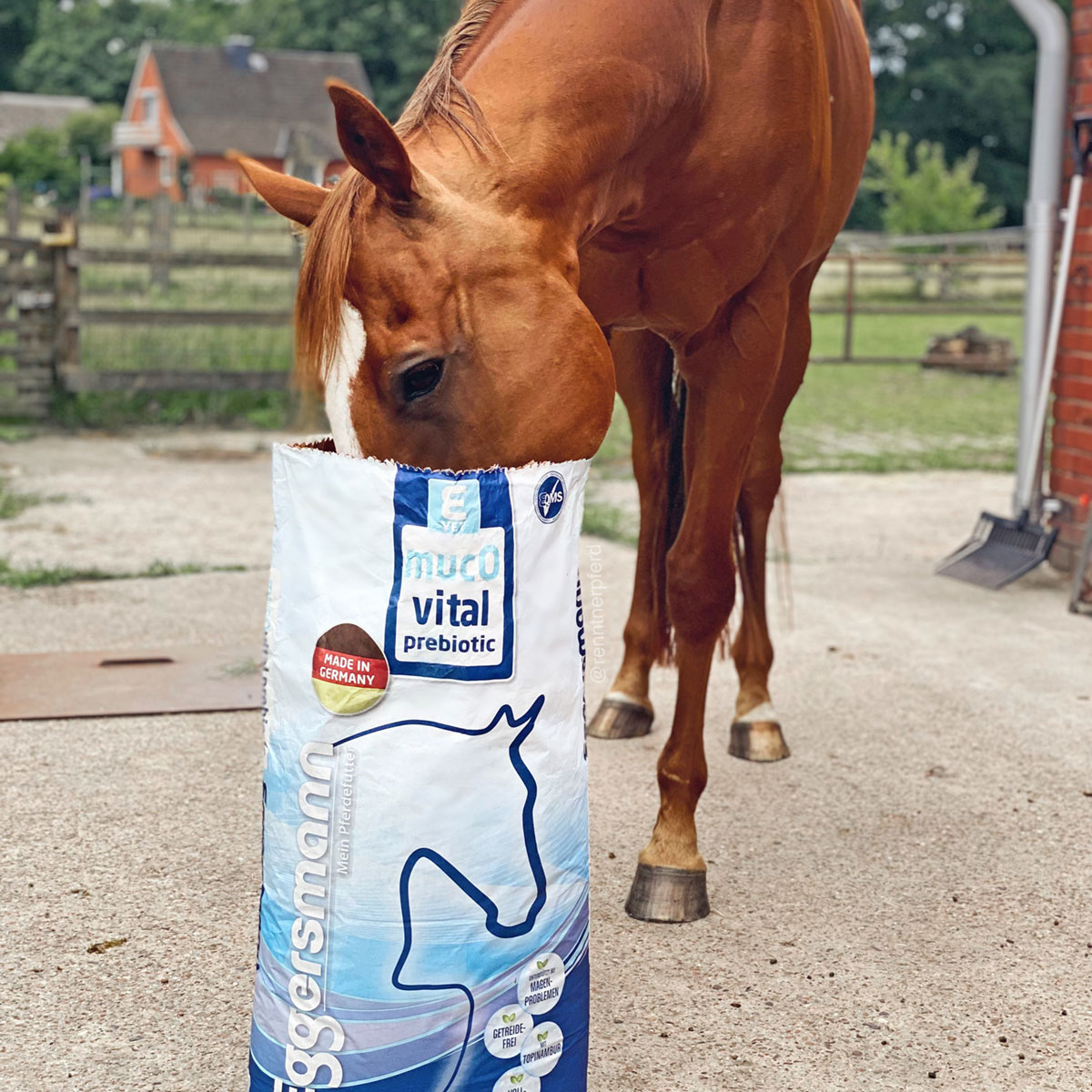 E_VET_MUCOVITAL_PREBIOTIC_20_KG_3025_300_EMO