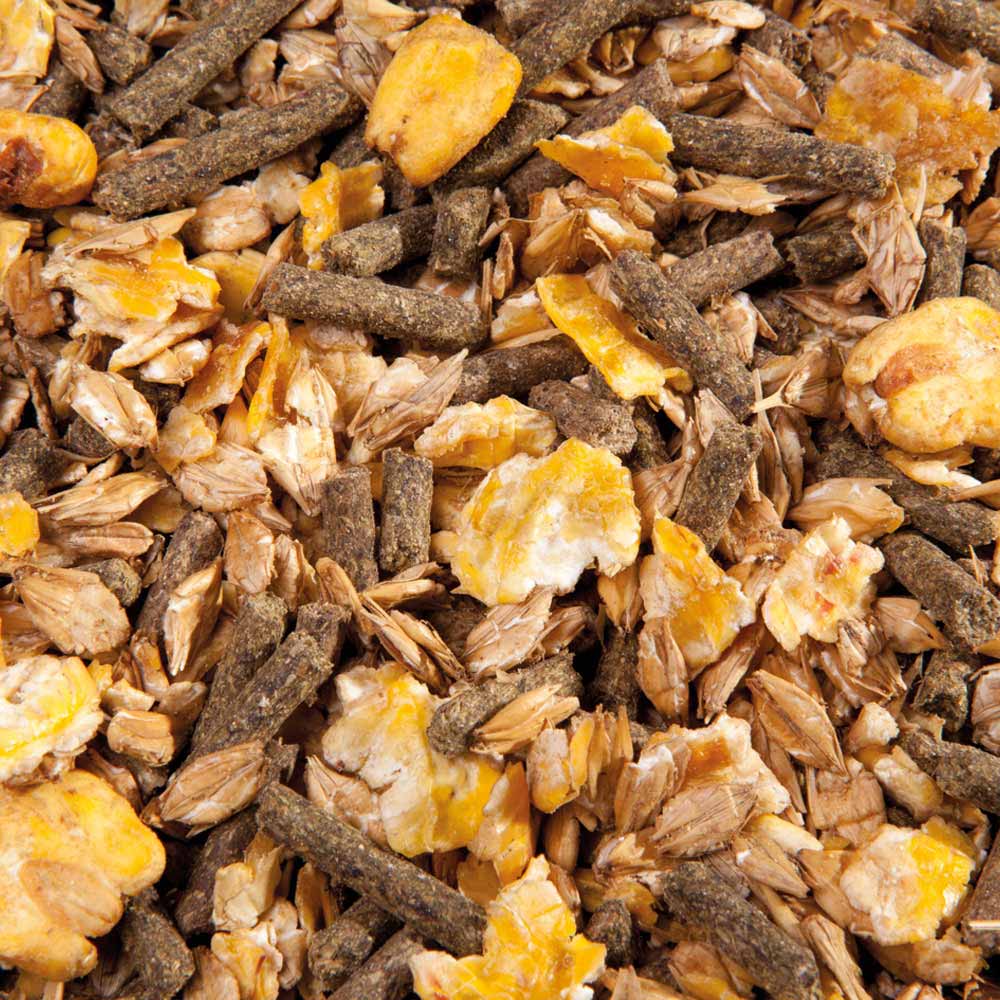 3010_300_EMH_COOL_MUESLI_DETAIL